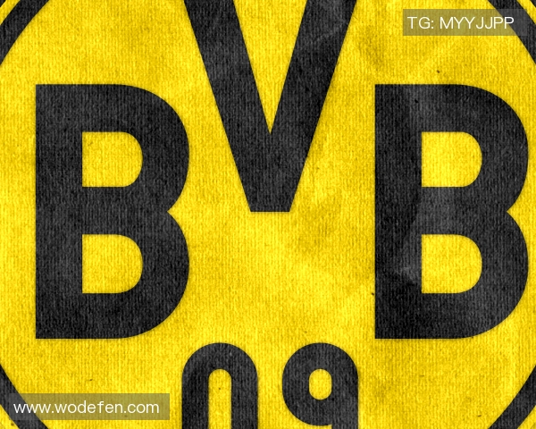 雄鹿队迅速反击，稳定取胜